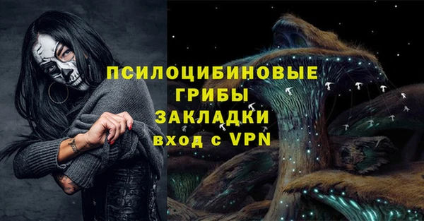 спиды Алзамай