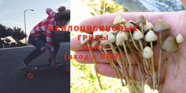 спиды Алзамай